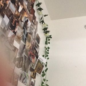 Meet your Posher, Thalia